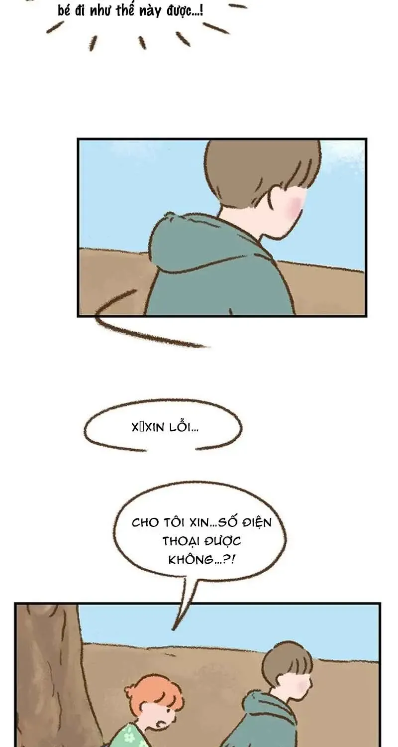 Chapter 7