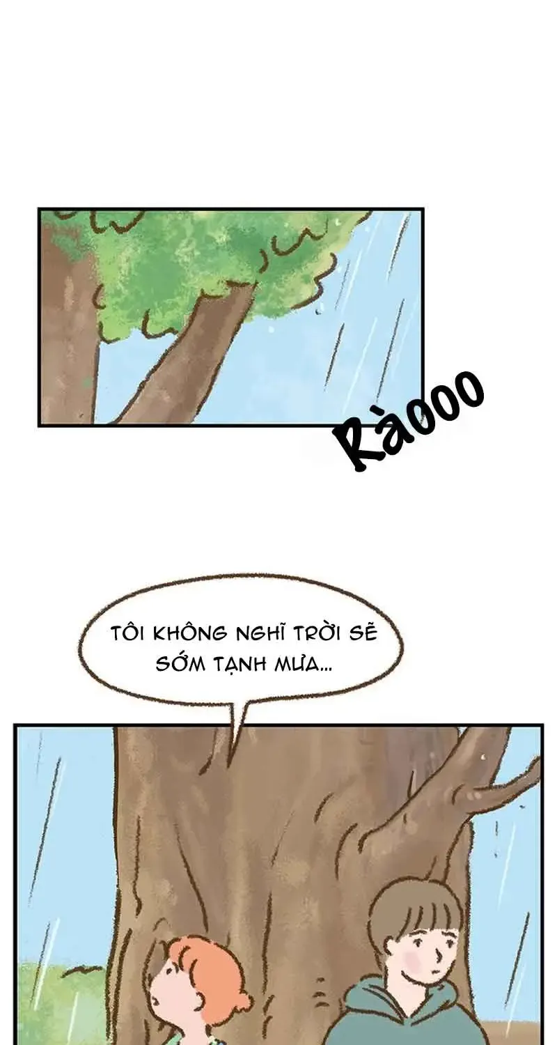 Chapter 7