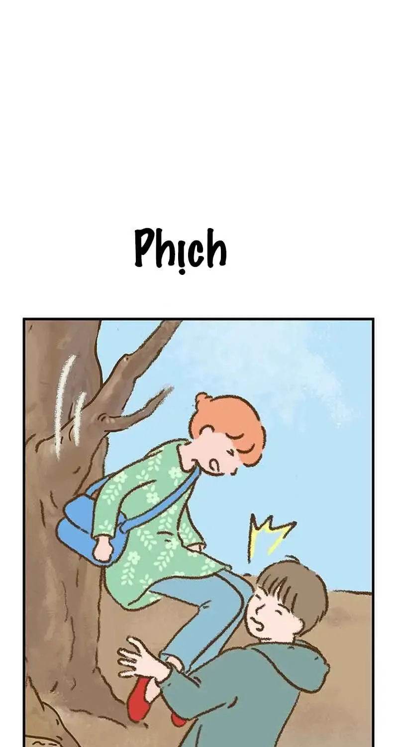 Chapter 7