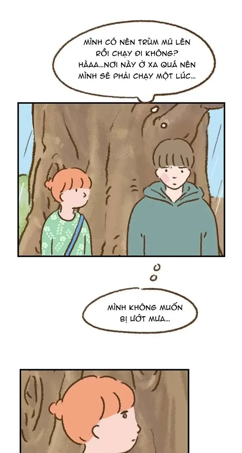 Chapter 7