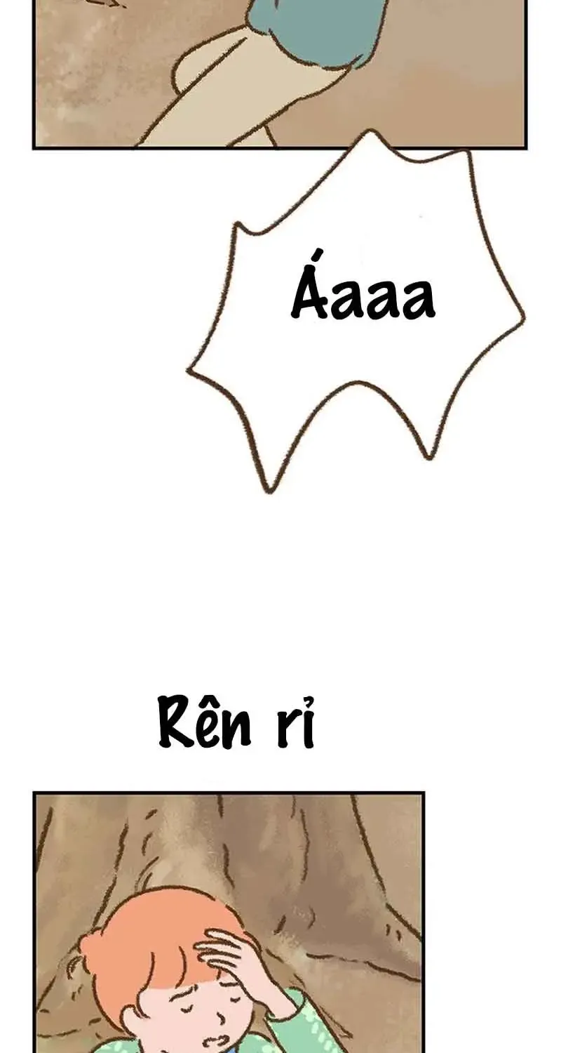 Chapter 7