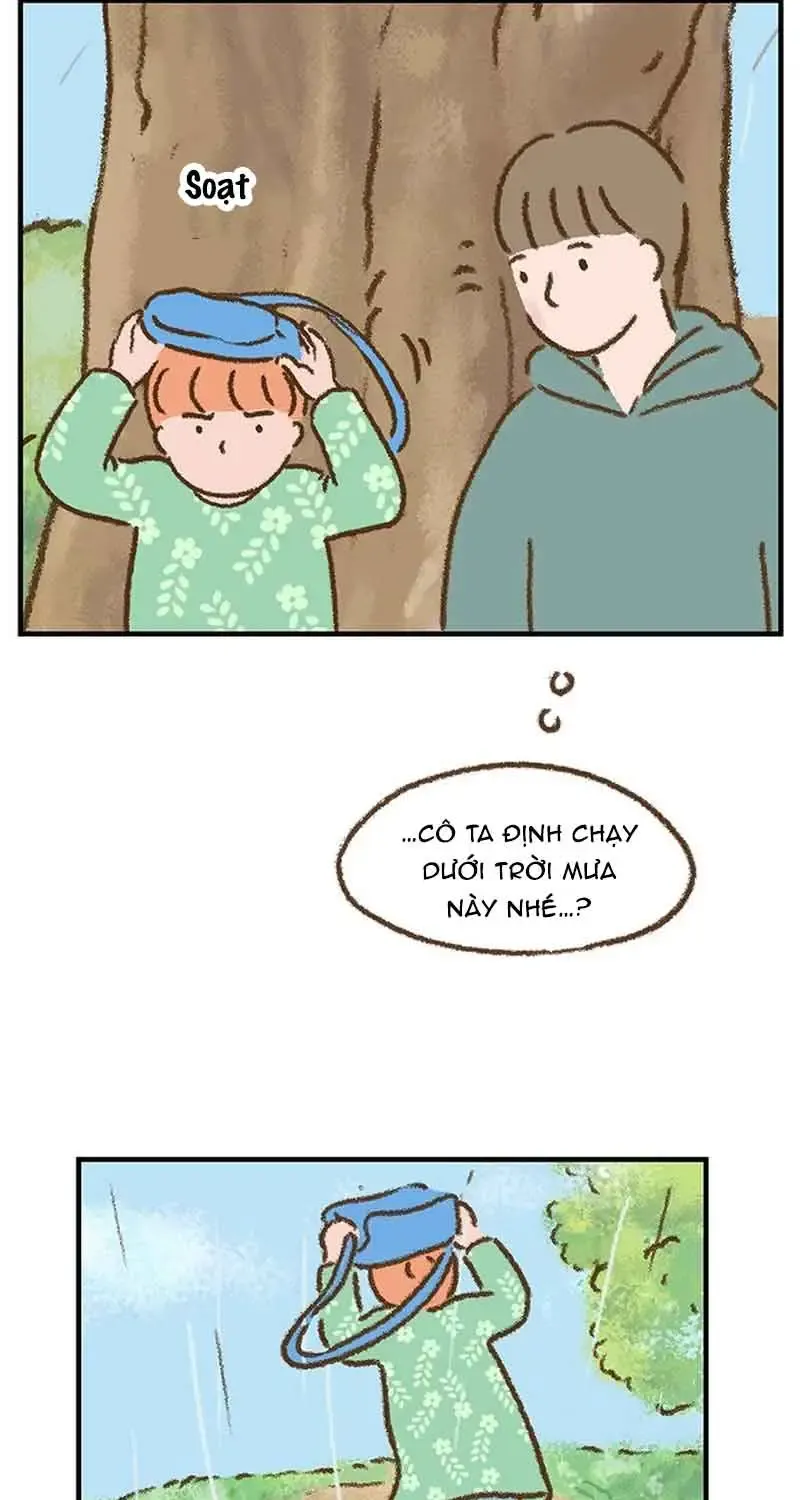Chapter 7