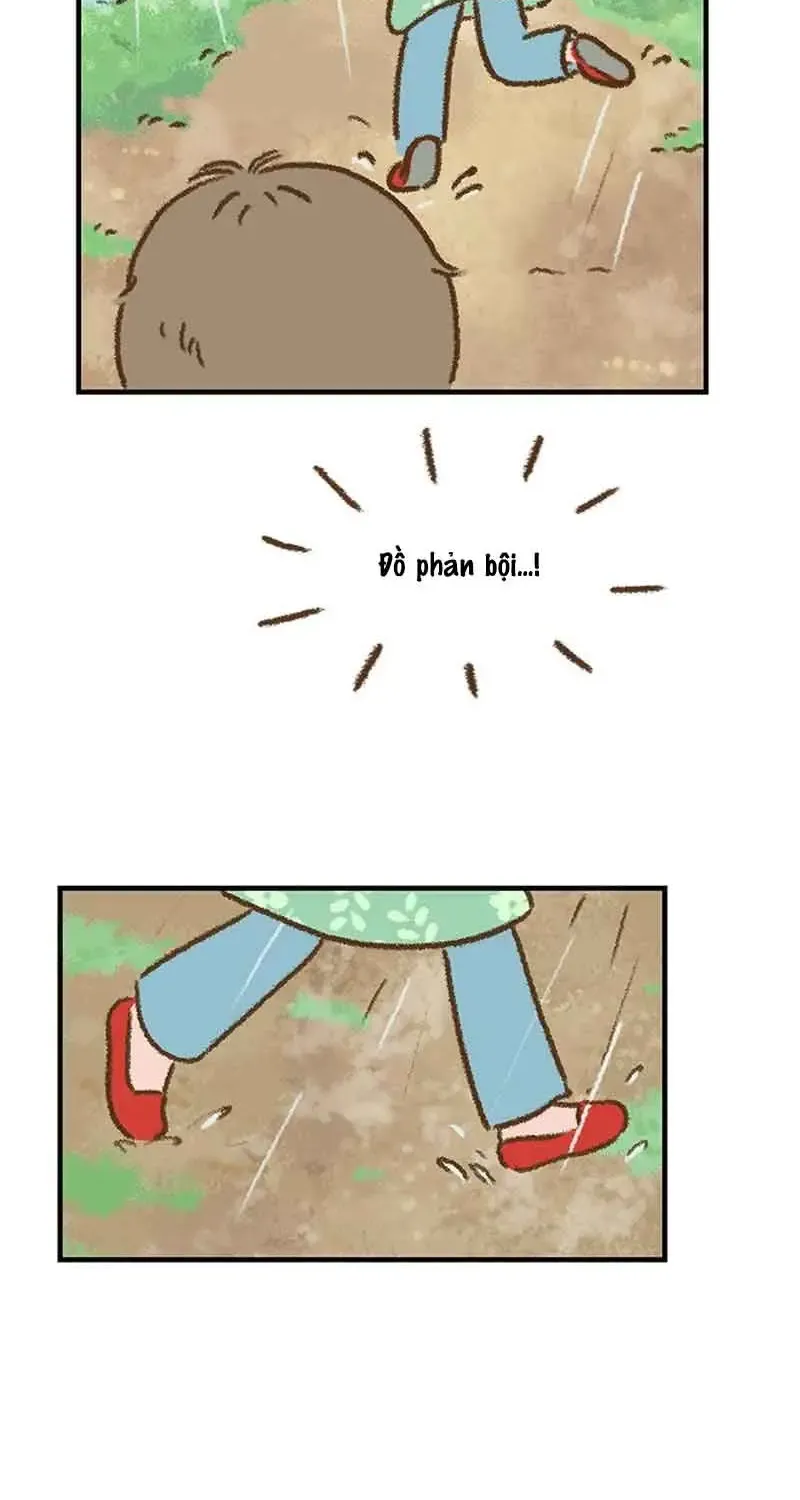 Chapter 7
