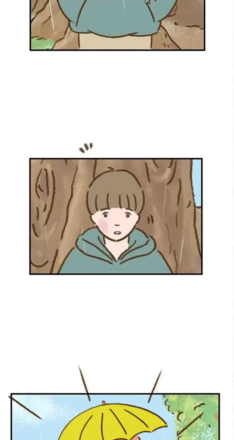 Chapter 7