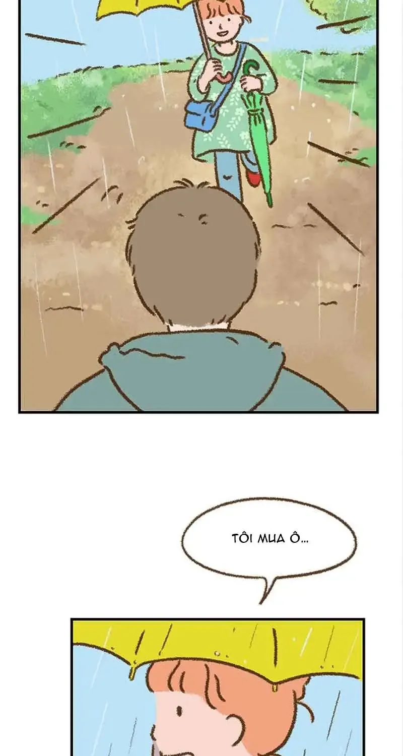 Chapter 7