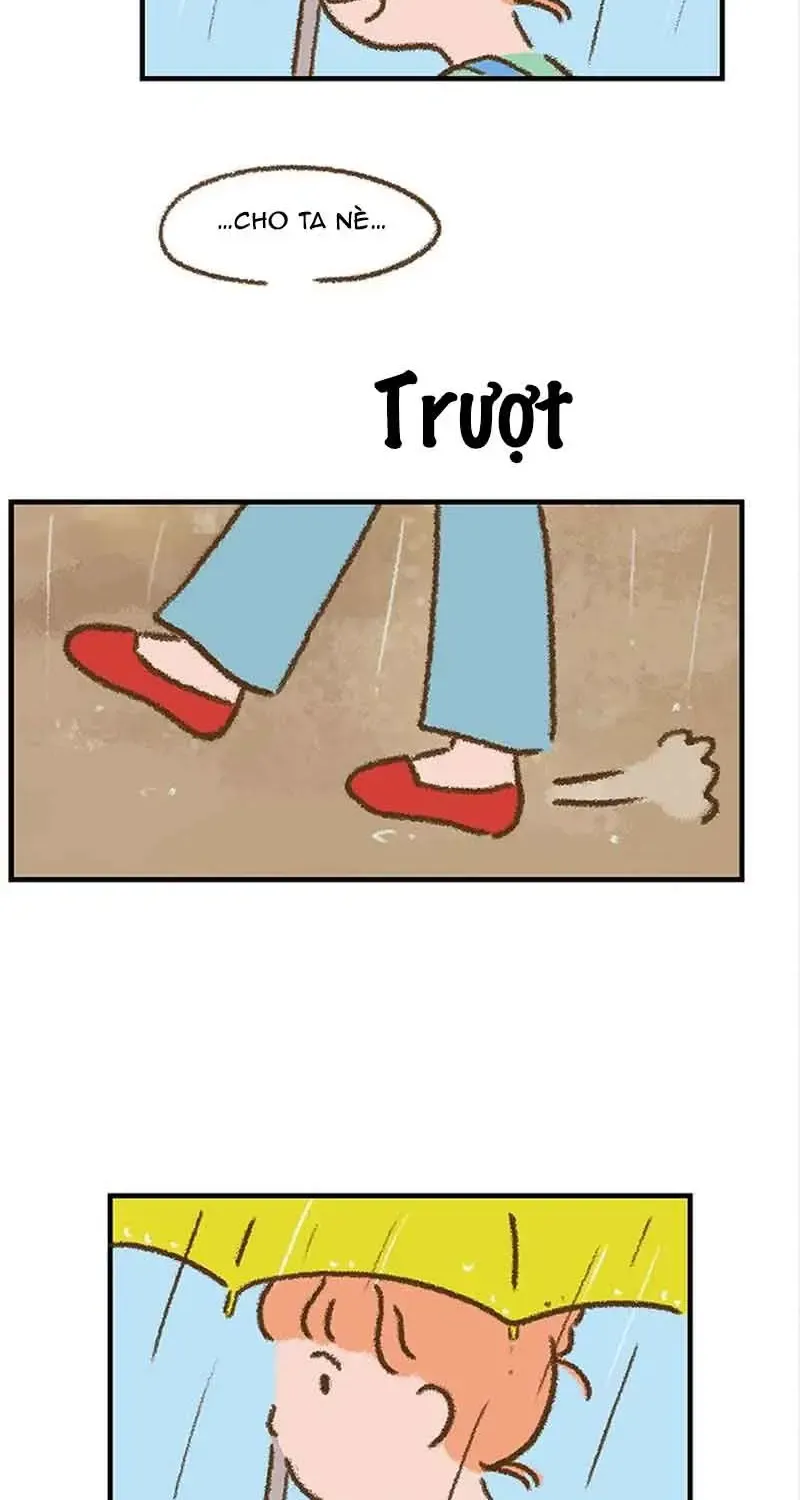 Chapter 7