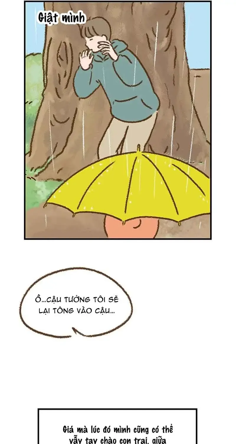 Chapter 7