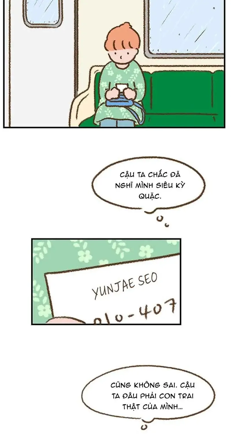 Chapter 7