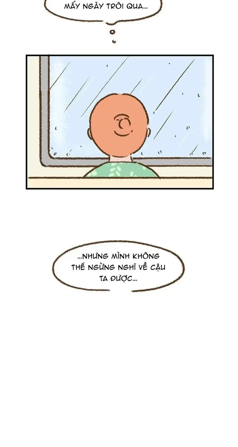 Chapter 7