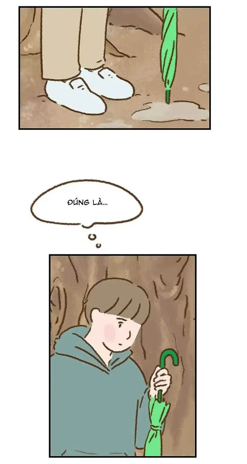 Chapter 7