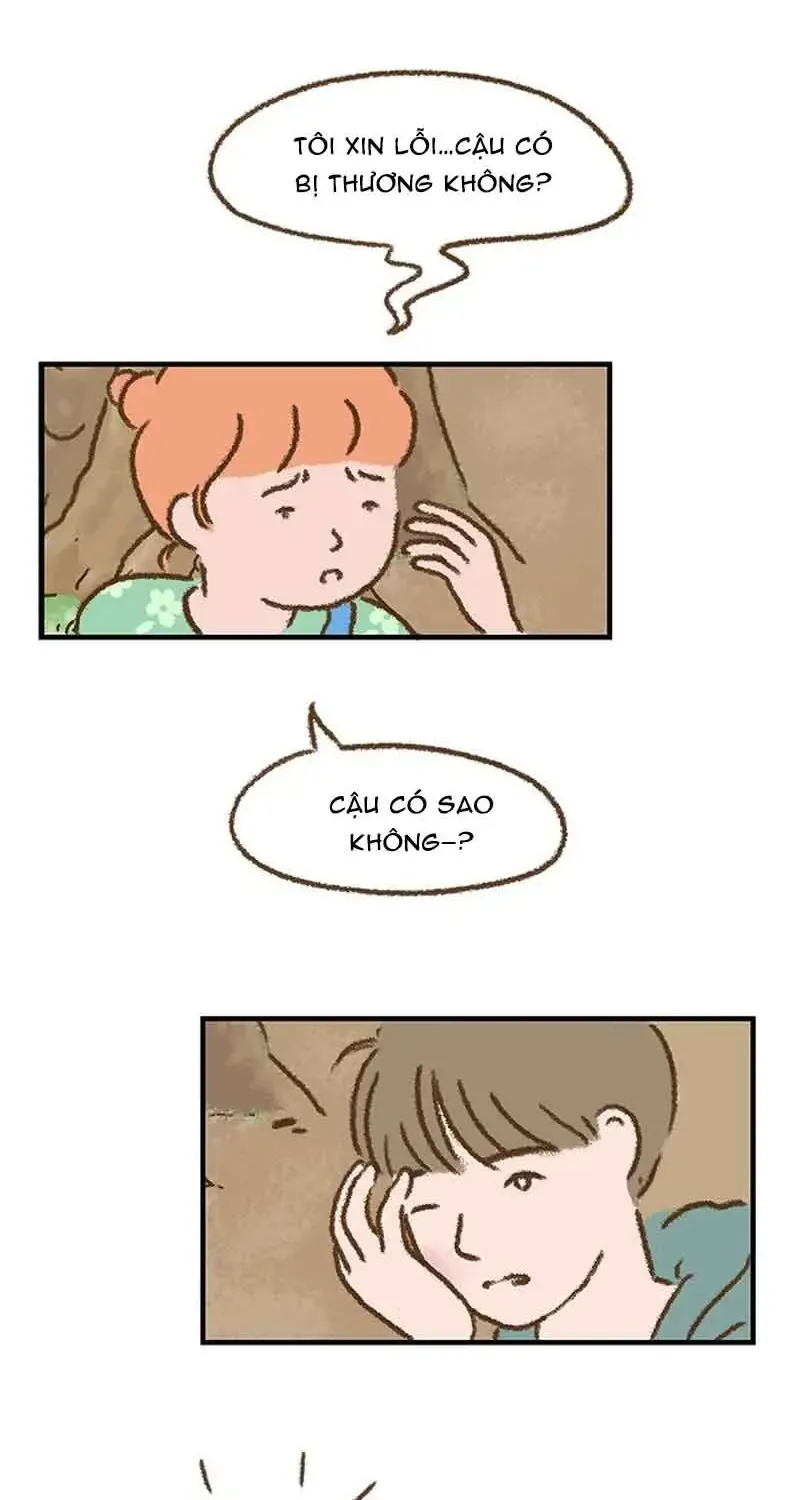 Chapter 7