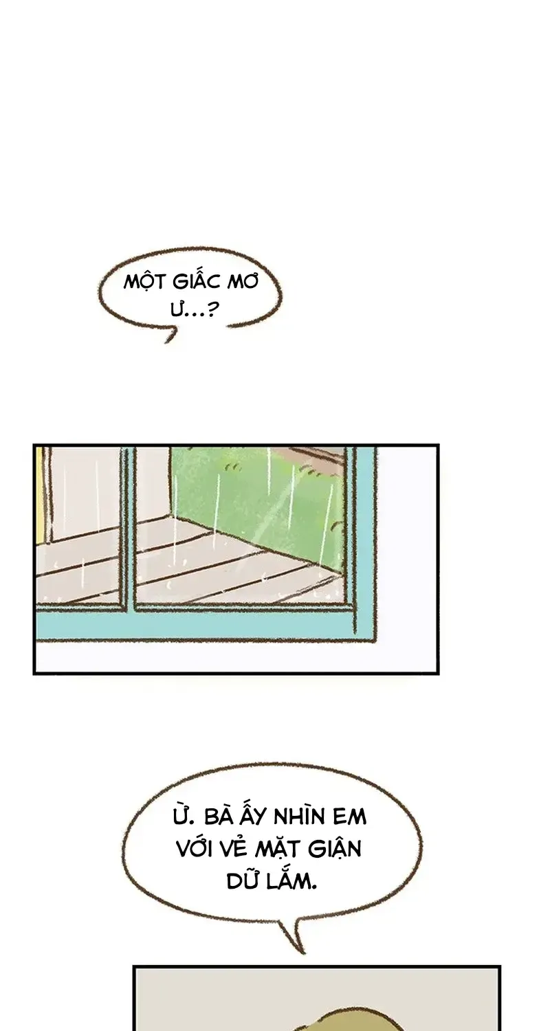 Chapter 8