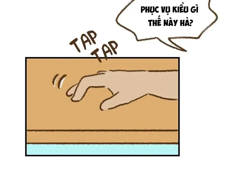 Chapter 8