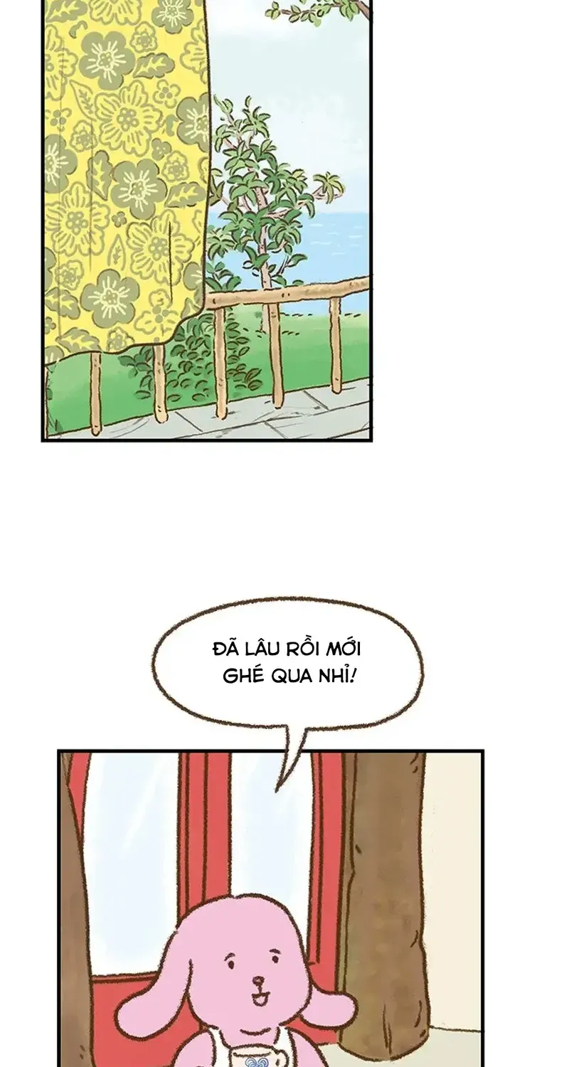 Chapter 8