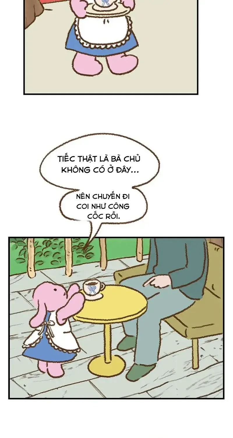 Chapter 8