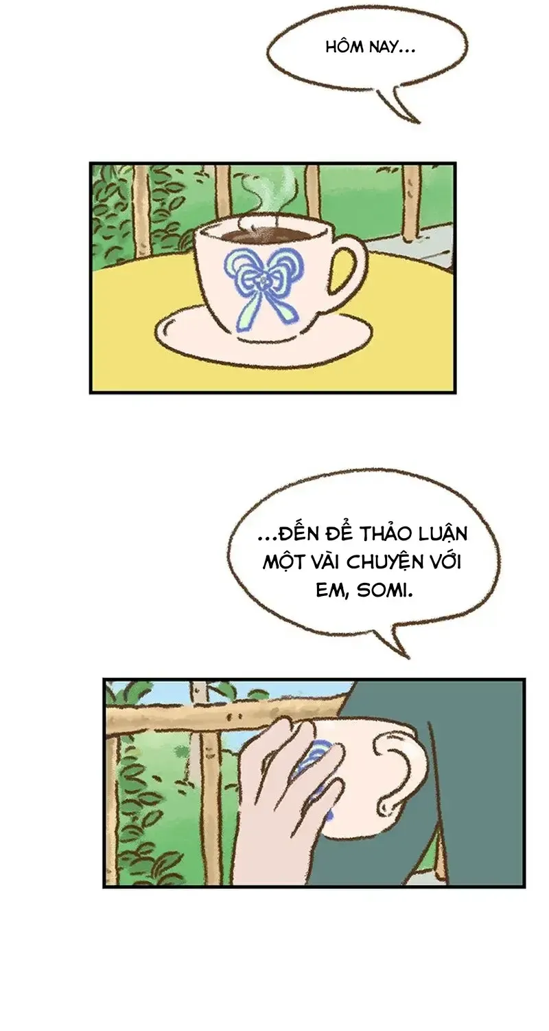 Chapter 8