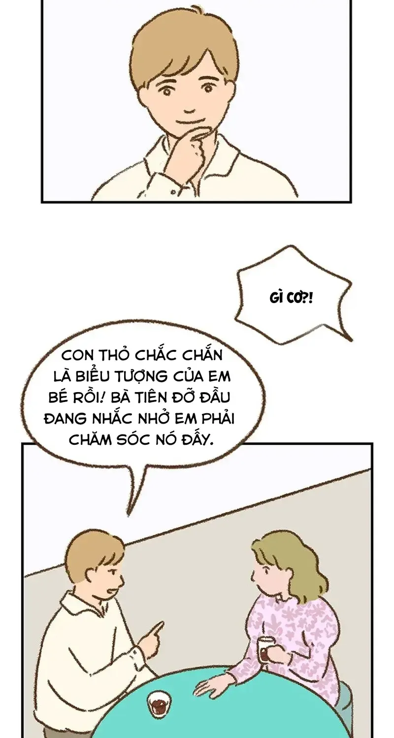 Chapter 8