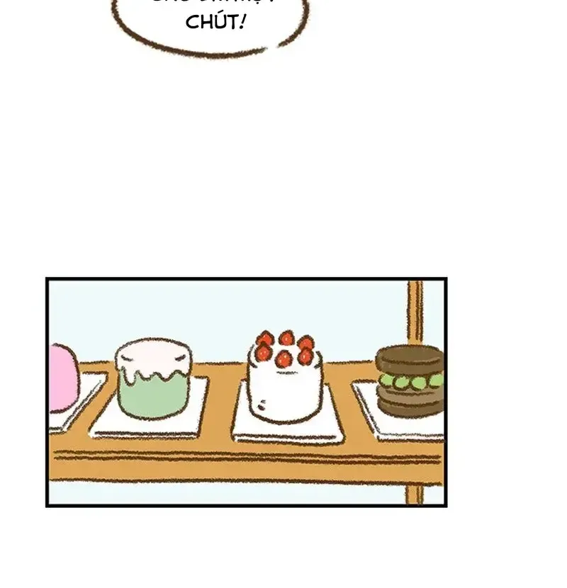Chapter 8
