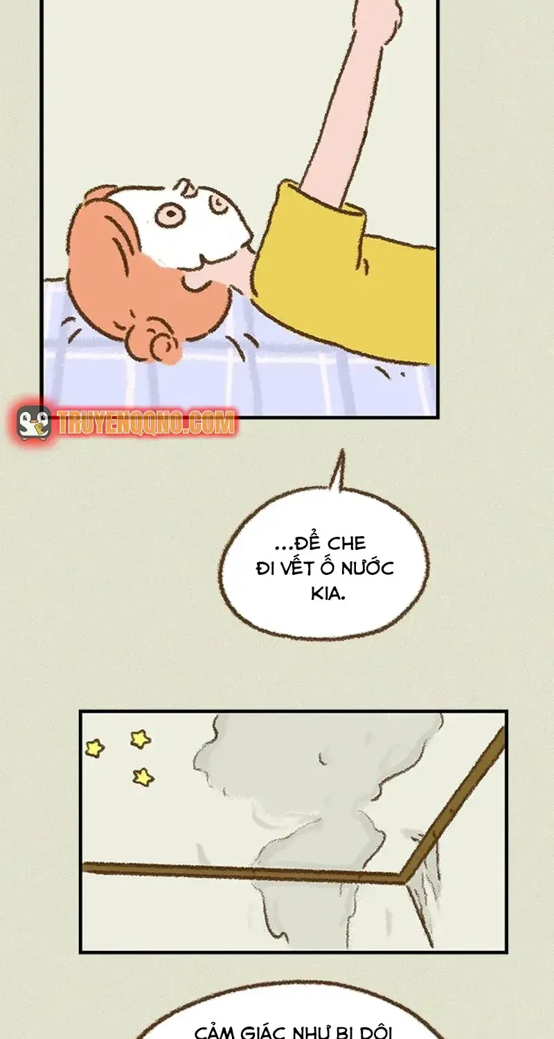 Chapter 9