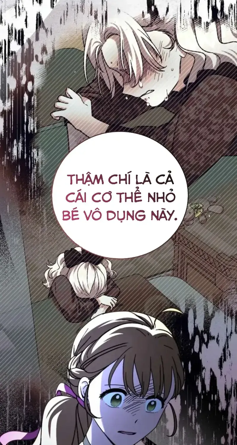 Chapter 8