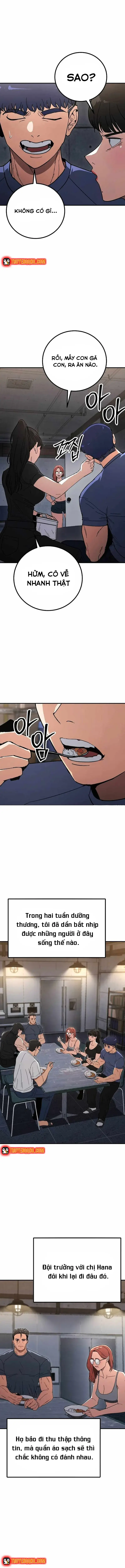 Chapter 17