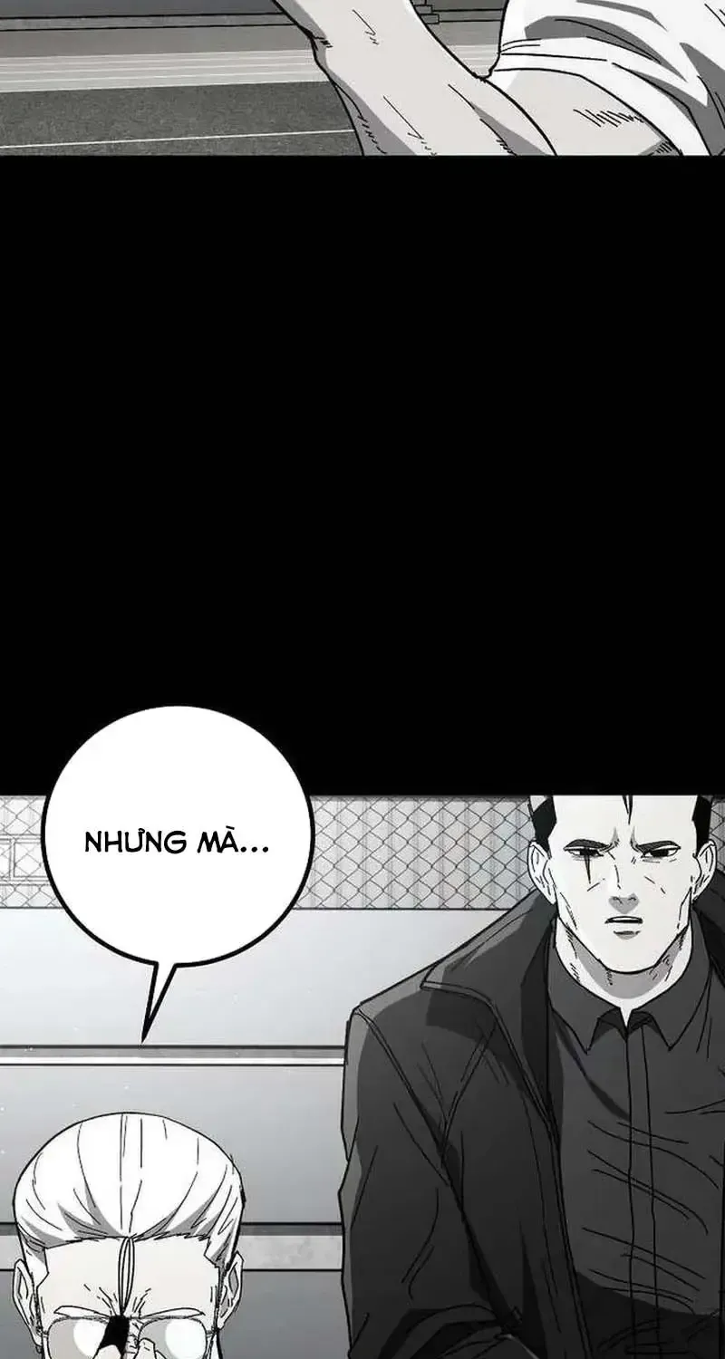 Chapter 26