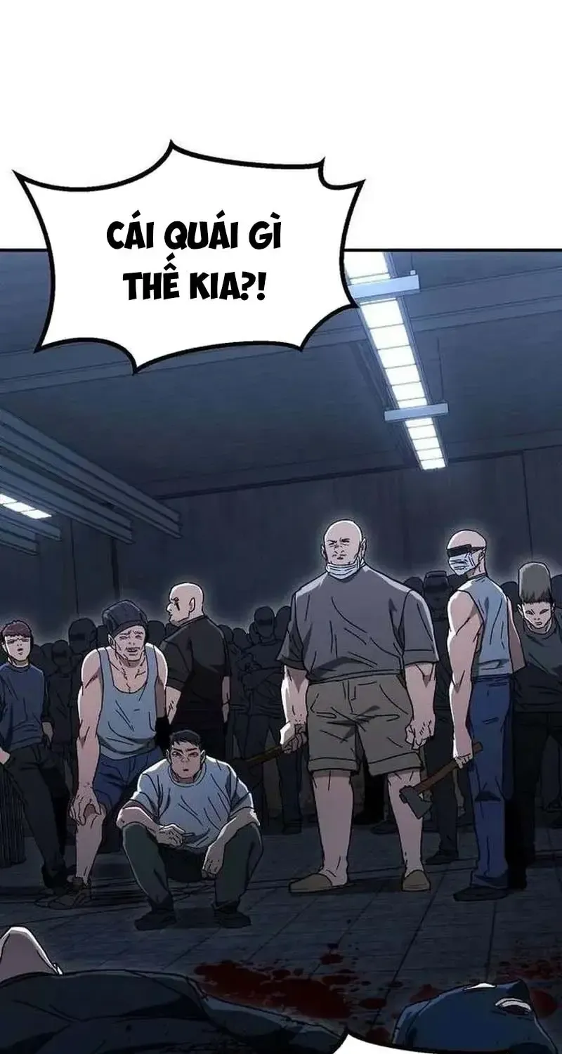 Chapter 26