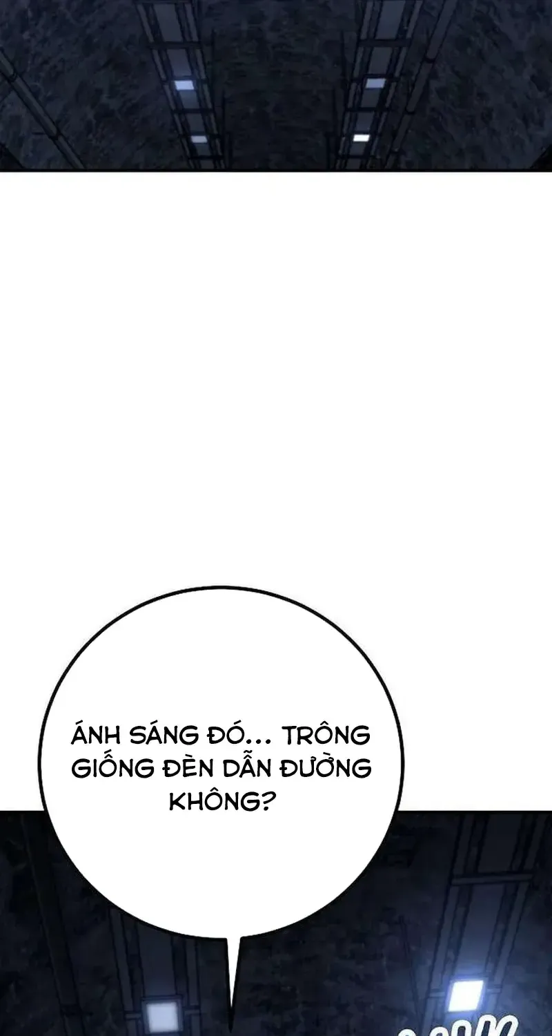 Chapter 29