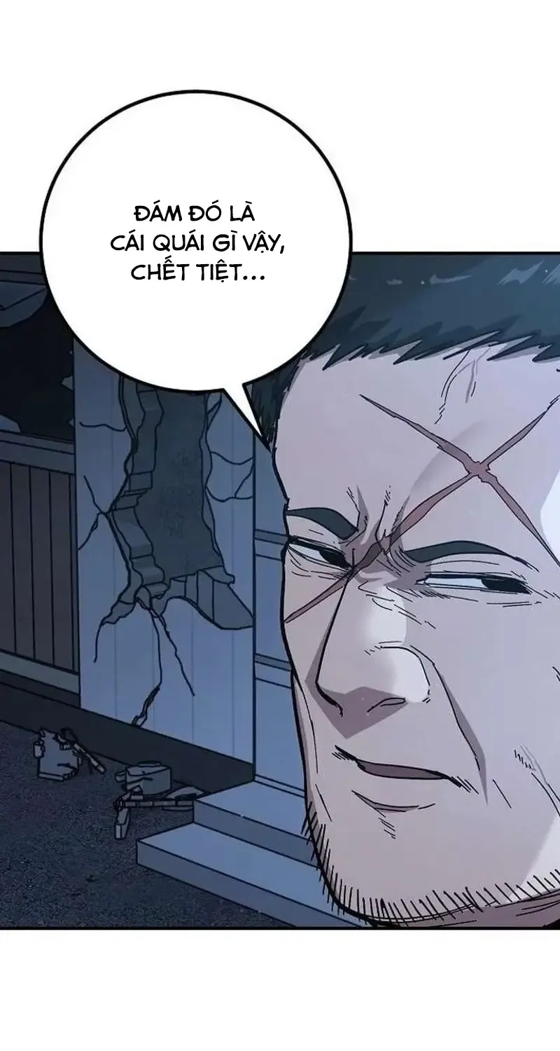Chapter 33