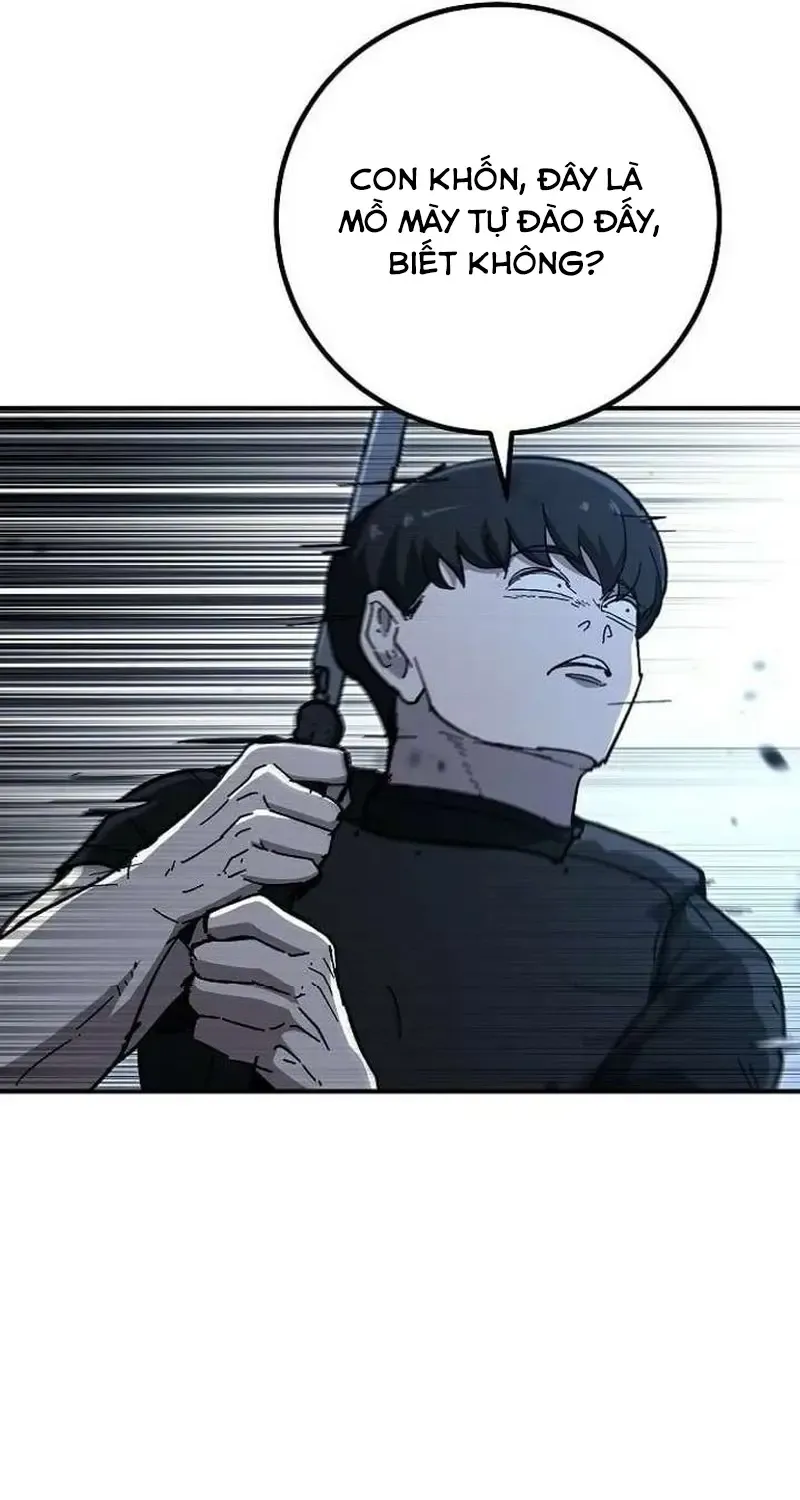 Chapter 33
