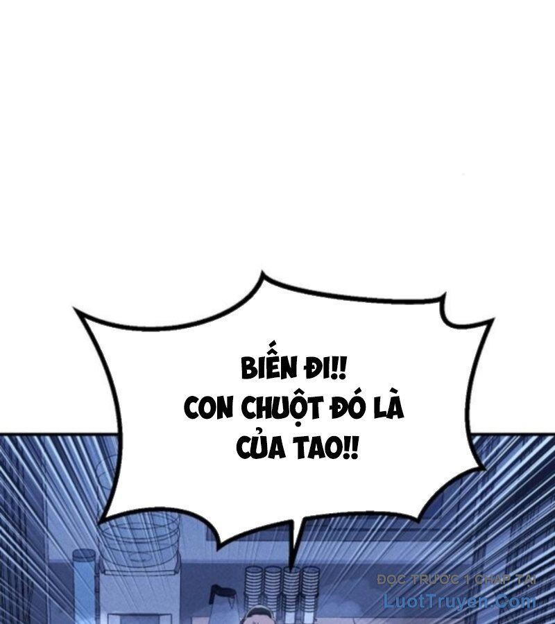 Chapter 7