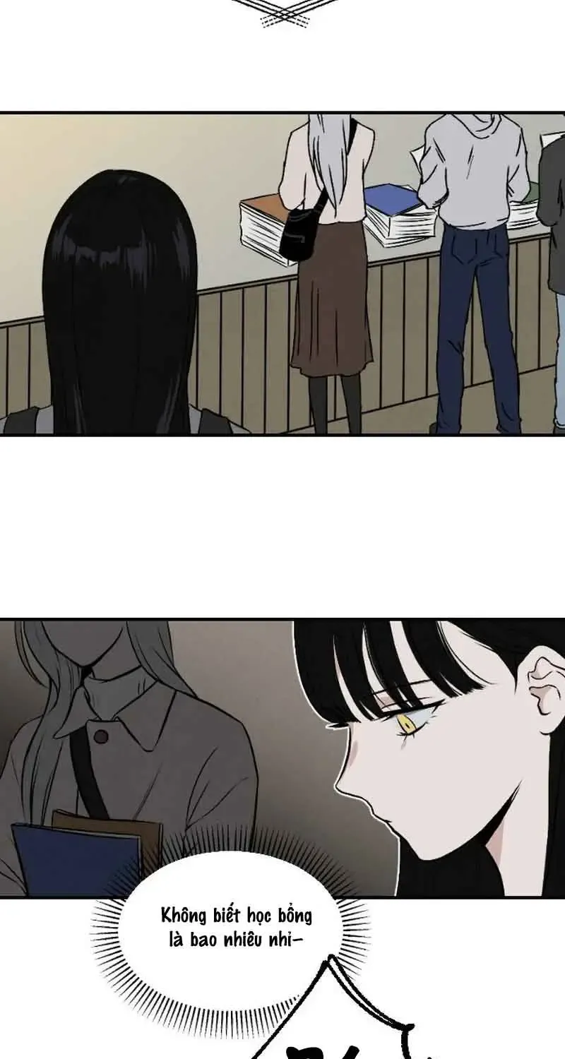 Chapter 3