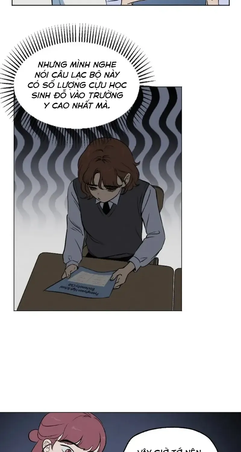 Chapter 4