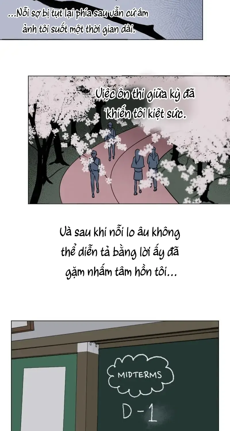 Chapter 7