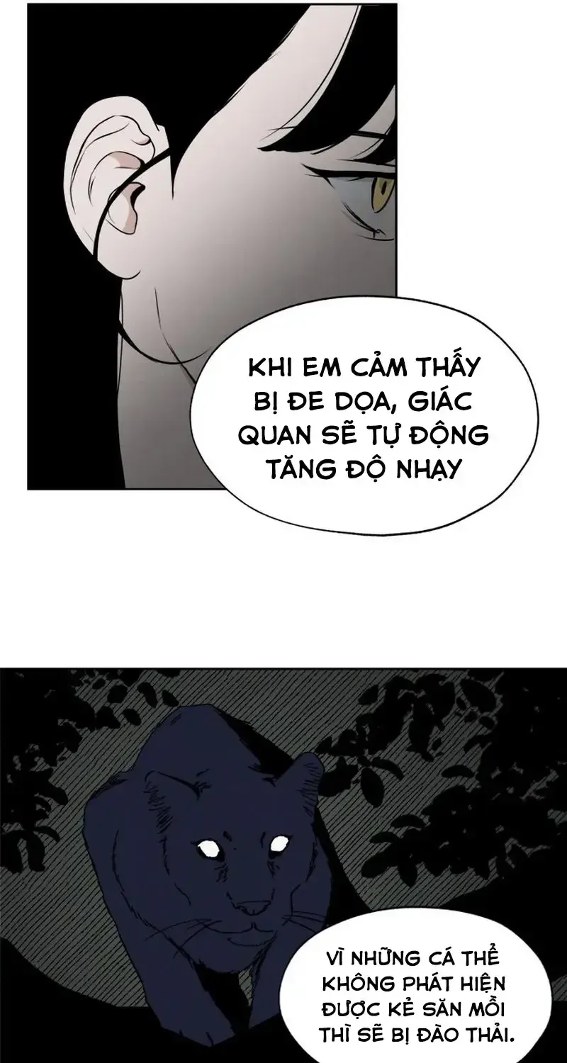 Chapter 9