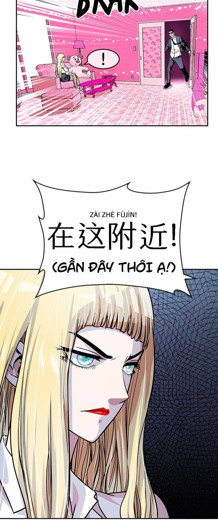 Chapter 17