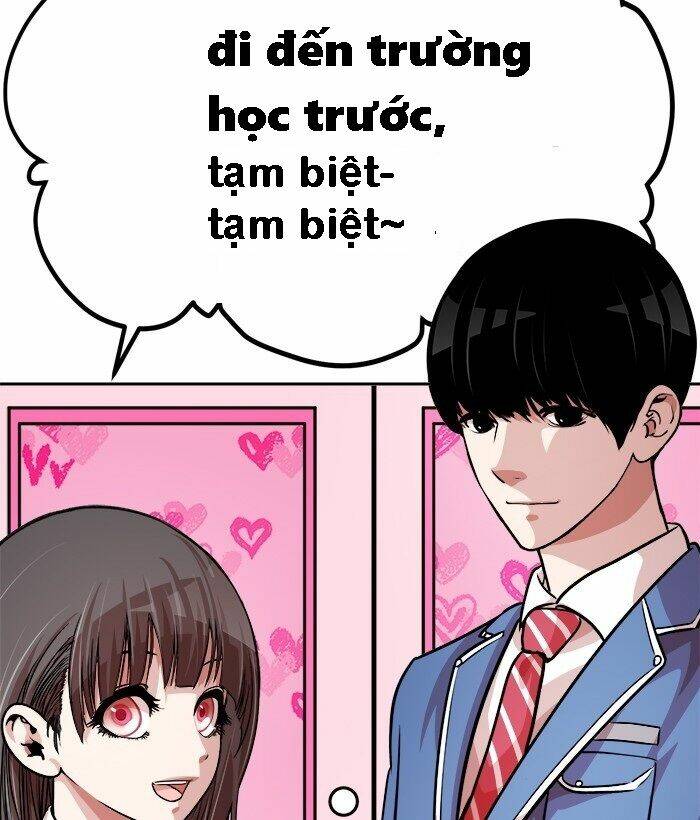 Chapter 19