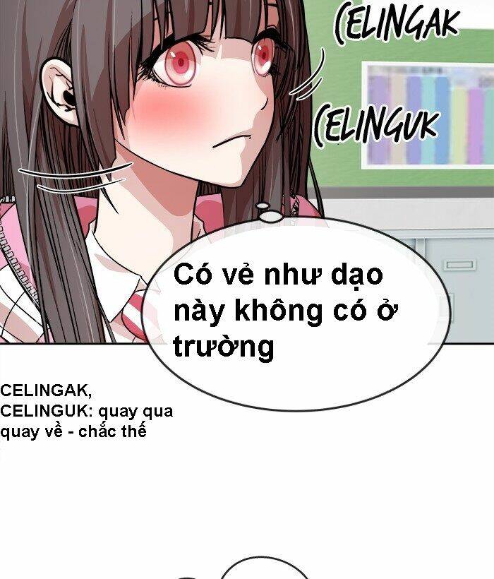 Chapter 19