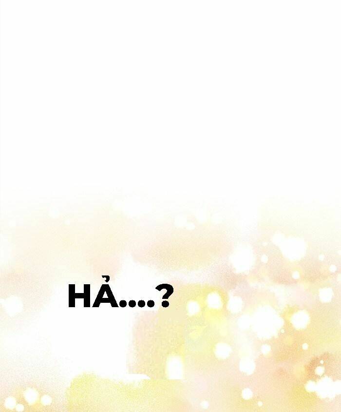 Chapter 23