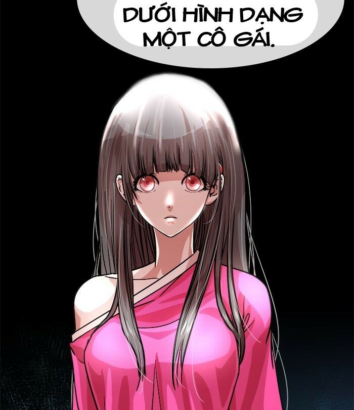 Chapter 41