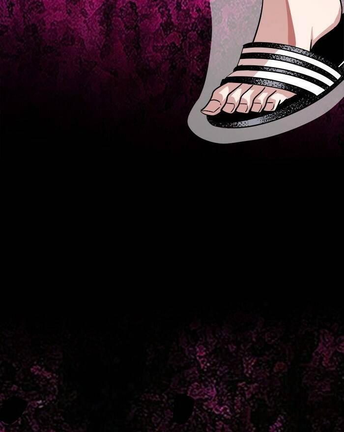 Chapter 50