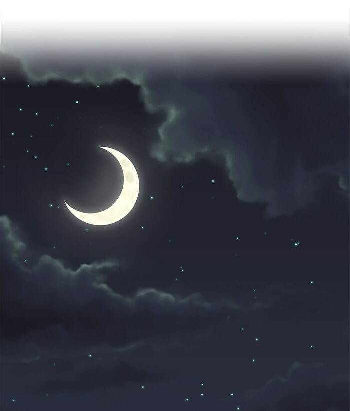 Chapter 55
