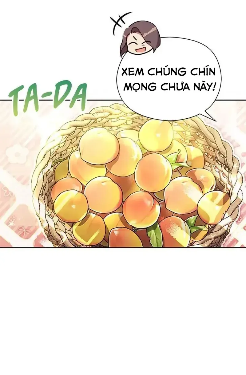 Chapter 2