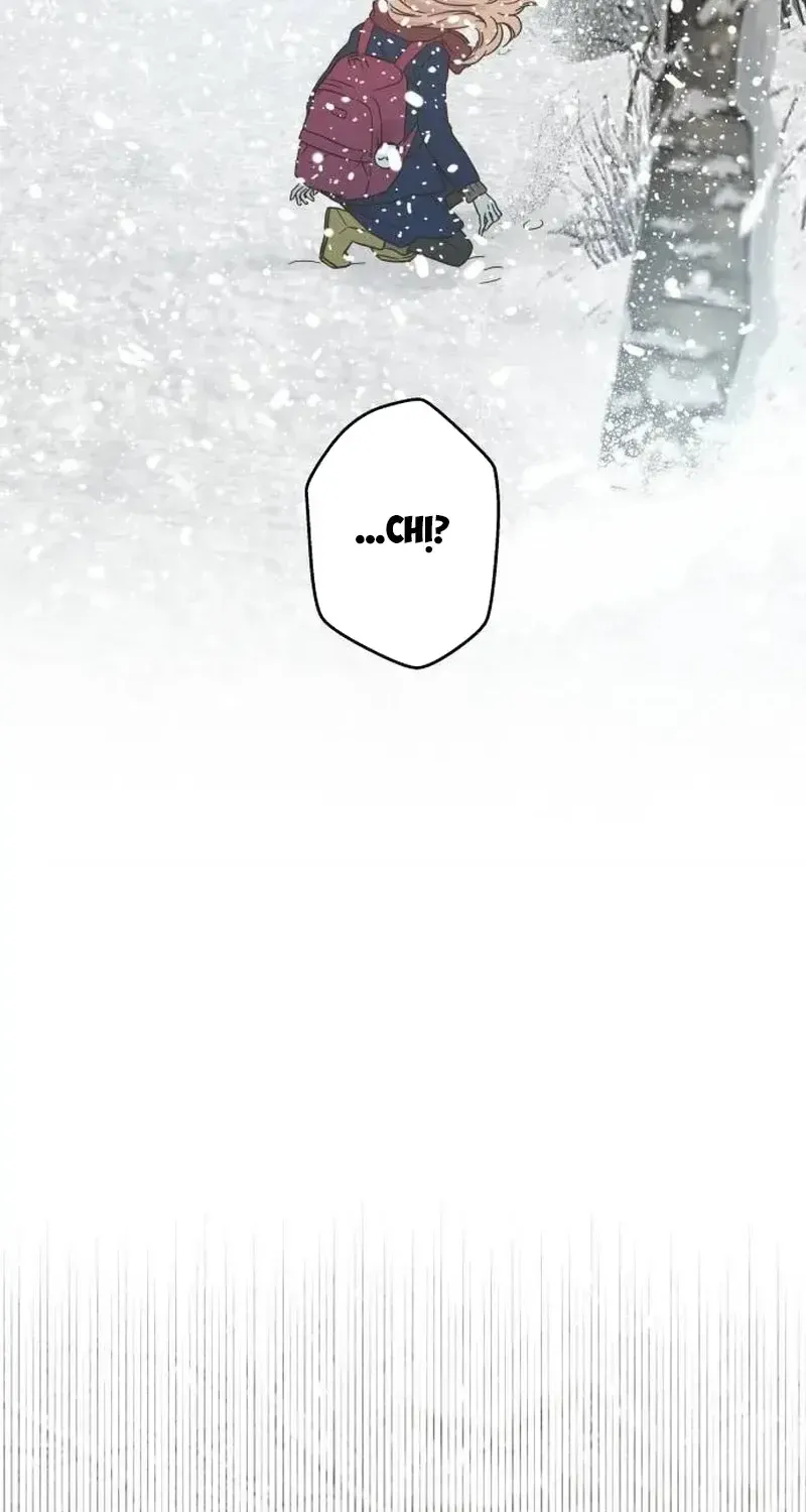Chapter 1