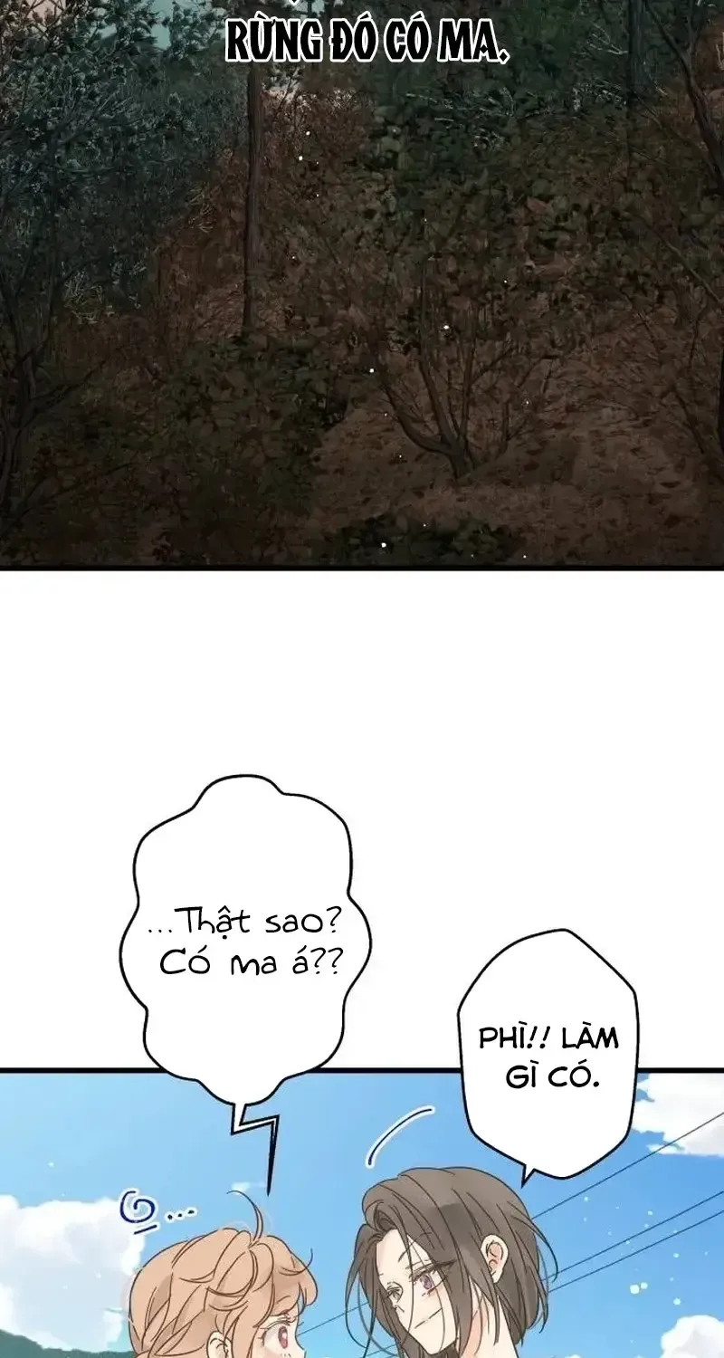 Chapter 1
