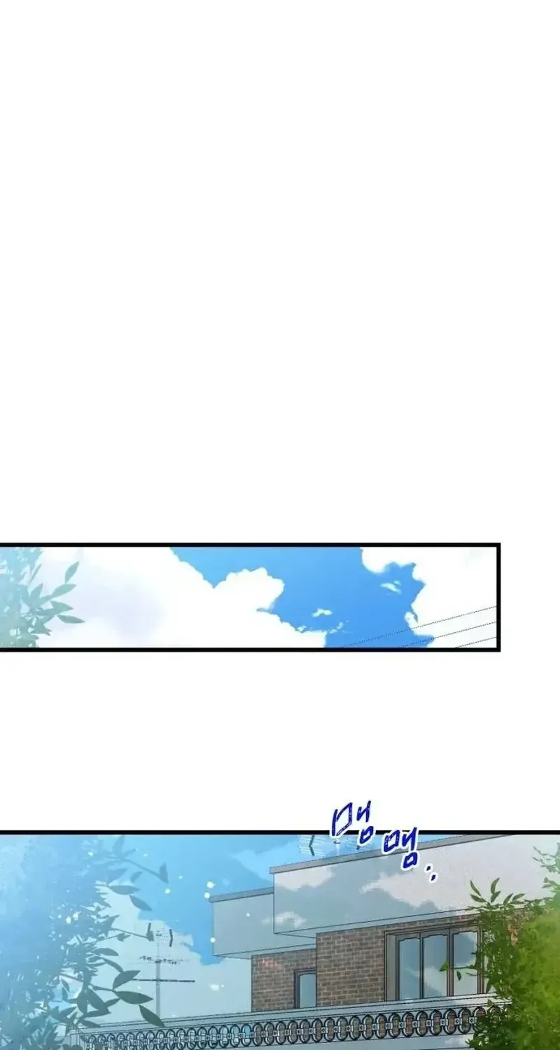 Chapter 1