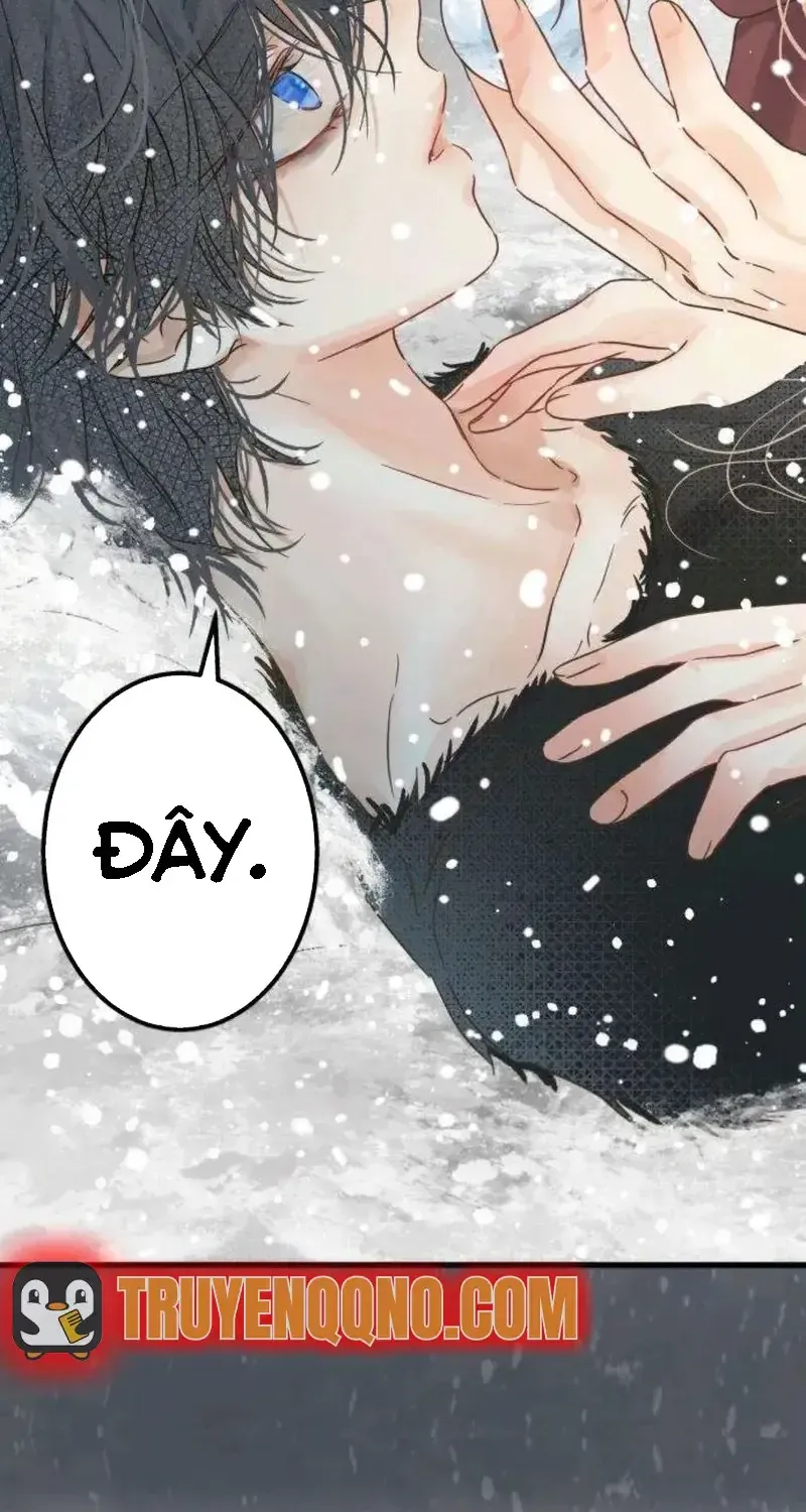 Chapter 2