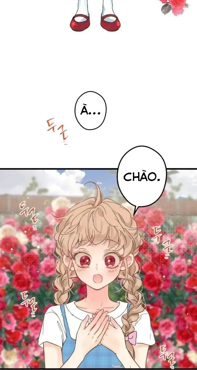 Chapter 2