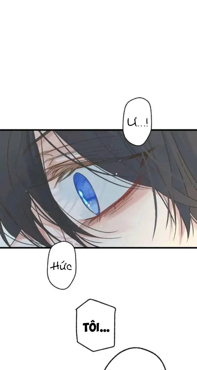 Chapter 3