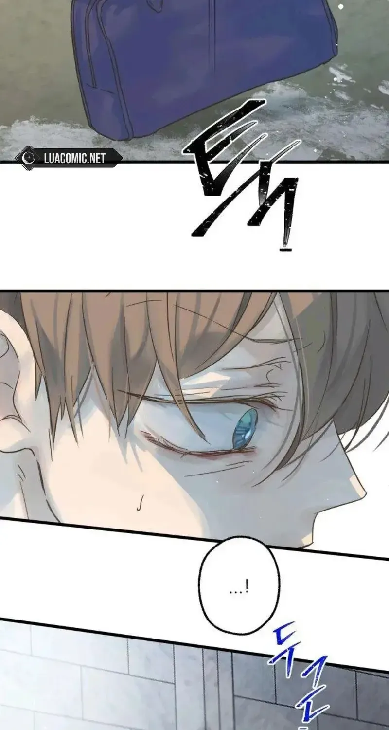 Chapter 3